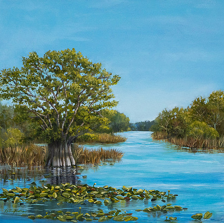 Everglades Adventure oil on canvas 24x24