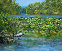 Where's Henry? Everglades oil on canvas 24x24