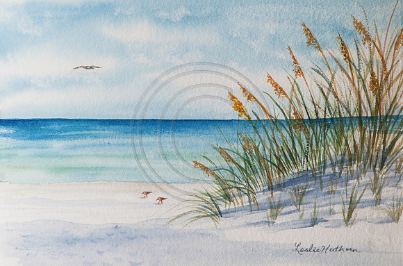 Sea Oats and Sandpipers SOLD Prints and Cards