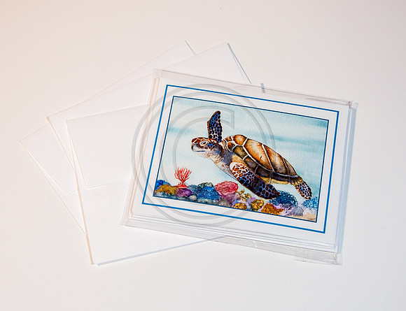 Note Cards Set of Three $5.49 + ship