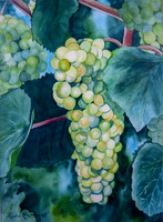 Ready for Wine Green Grapes $295 Framed