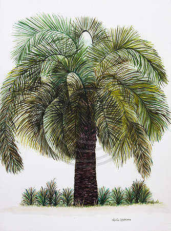 #02 Legendary Palm Card