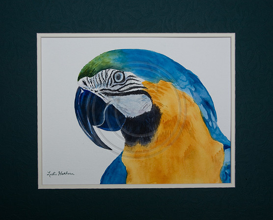#03  Are You A Parrot Head?