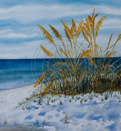 #04 Sea Oats Card