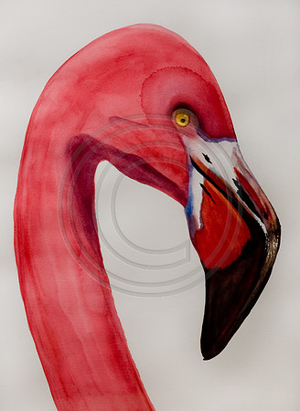 #10 Think Pink Flamingo Head prints and  note cards