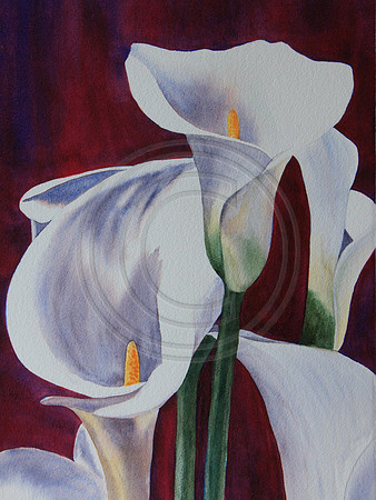 #14   Callas on Red Note cards