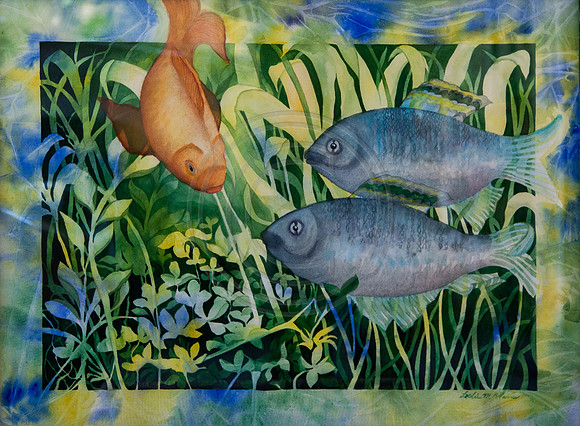 #18 Hello! Fish Note Cards