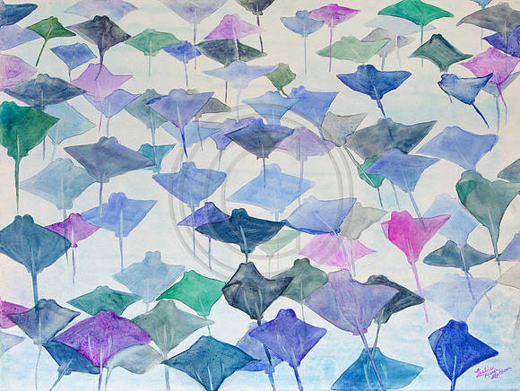 A Fever of Stingrays watercolor on Canvas SAOLDSOLDPrints and Cards