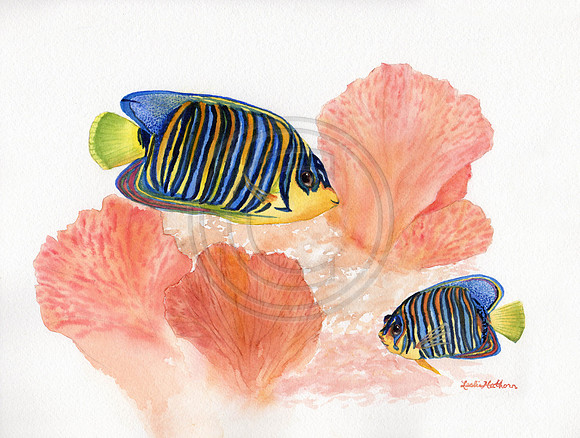 Colorful Tropical Fish and Coral SOLD in watercolor Prints & Cards